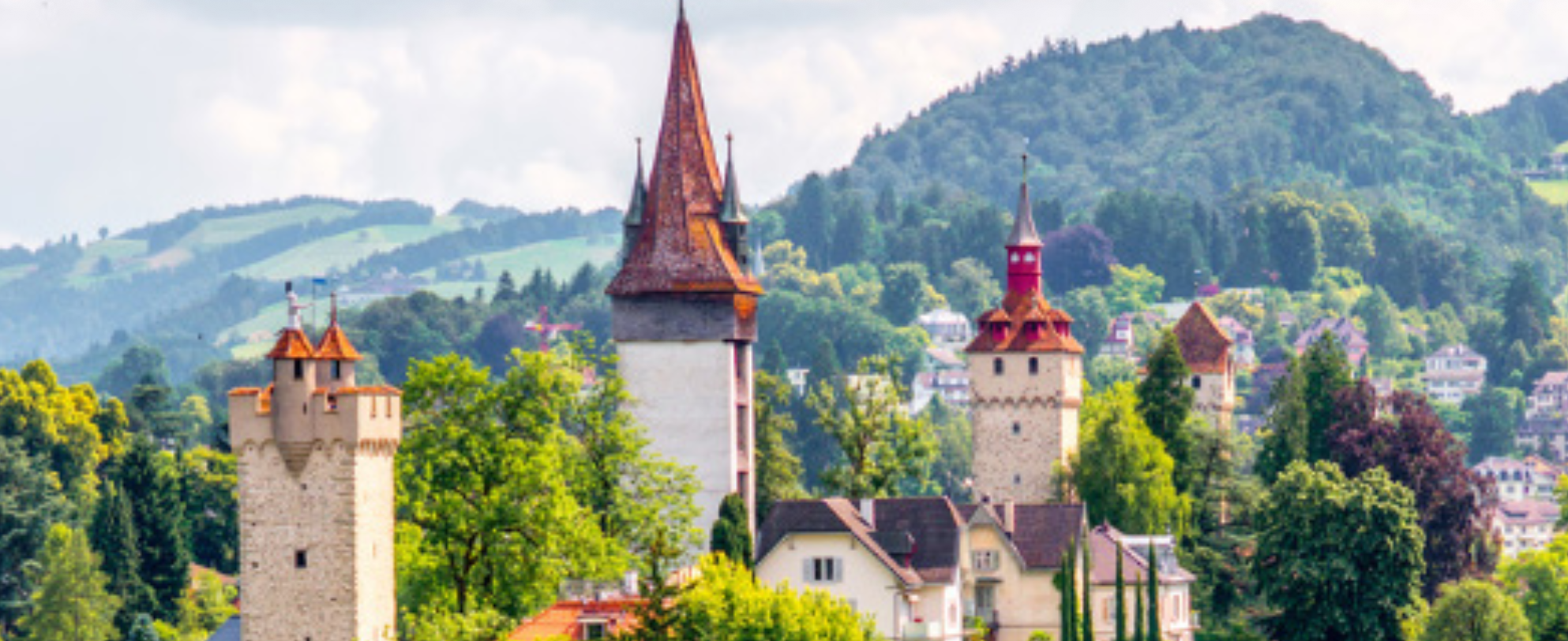 castle castle in forest